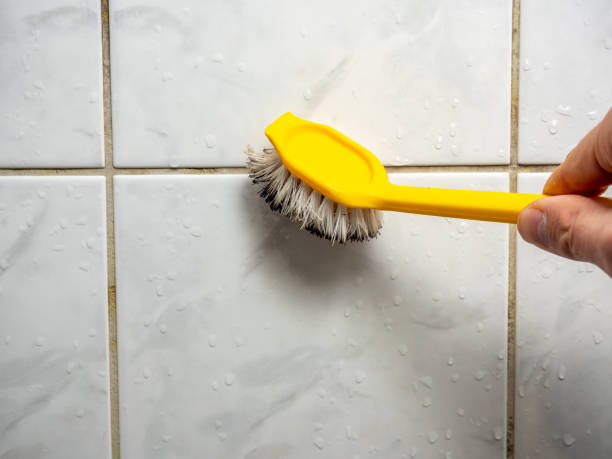 Best Local Mold Removal Service  in Grafton, WI