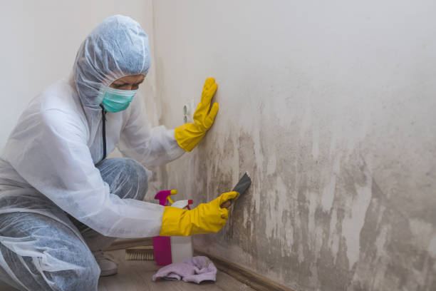 Best Mold Testing  in Grafton, WI
