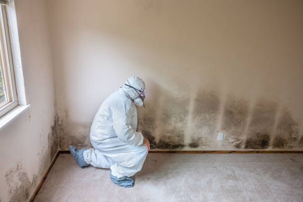 Best Office Mold Removal Services  in Grafton, WI