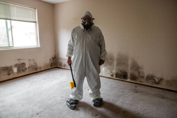 Mold Testing and Removal in Grafton, WI